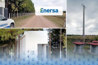 Por la creciente demanda de empresa avícola, Enersa refuerza la red eléctrica en Villa Elisa