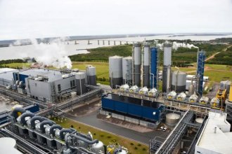 UPM tiene un plan de expansión que elevaría su producción 15 por ciento y enciende alertas por el río Uruguay