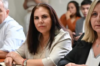Luego del fallido jury a Medina, Lena presentó un proyecto para reglamentar los juicios políticos