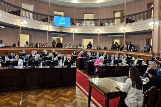 Diputados darán ingreso a la Reforma Previsional este miércoles