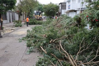 Despliegan operativo municipal en Gualeguaychú por el intenso temporal