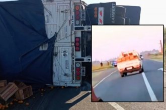 Cinco agentes municipales bajo la lupa por el destino que dieron a carga de naranjas tras un accidente