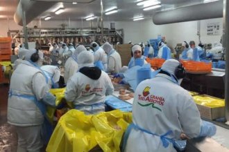 Crisis de Granja Tres Arroyos: perdió 60% de sus productores, faena menos de un tercio y en febrero acumulaba 224 cheques rechazados