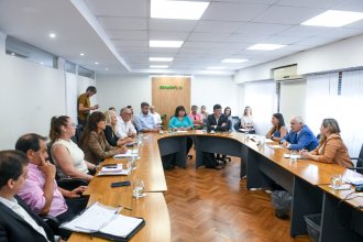El Defensor General habló en el Senado sobre el proyecto para ampliar licencias por adopción