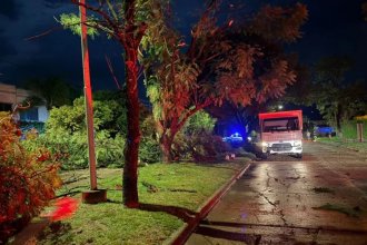 Destrozos en un club y caída de árboles, tras la tormenta en una ciudad entrerriana