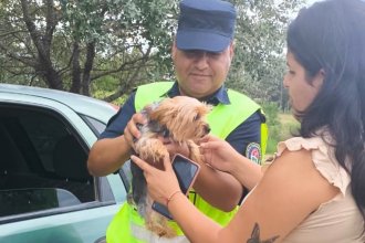 Operativo cerrojo en ruta: recuperan a una perra robada y demoran a tres hombres