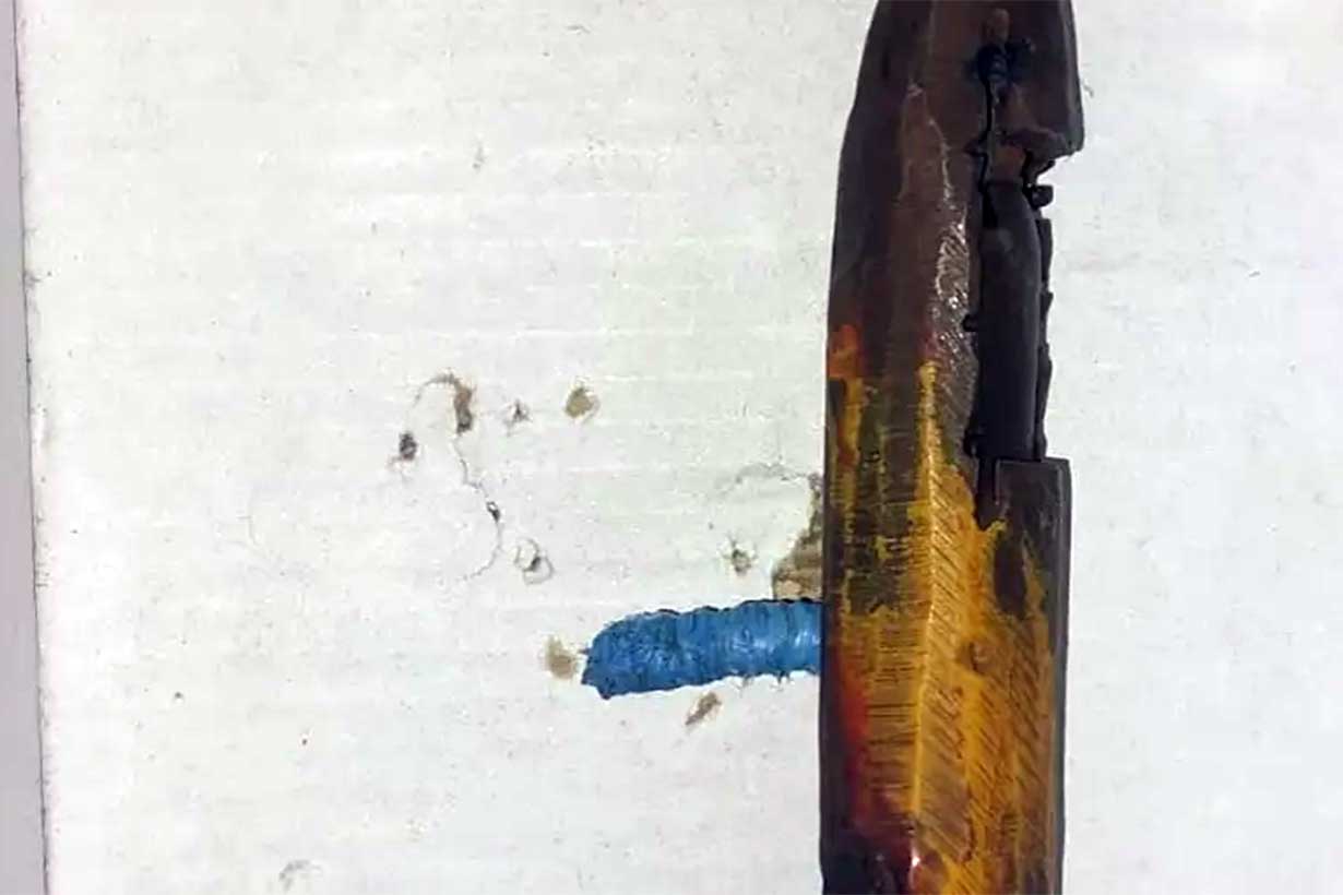 Llevó a la escuela una 