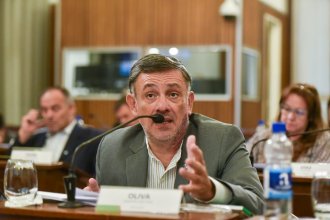 Reforma previsional. Senador dice que en vez de ajustar a trabajadores, el gobierno debería defender sus recursos frente a Nación