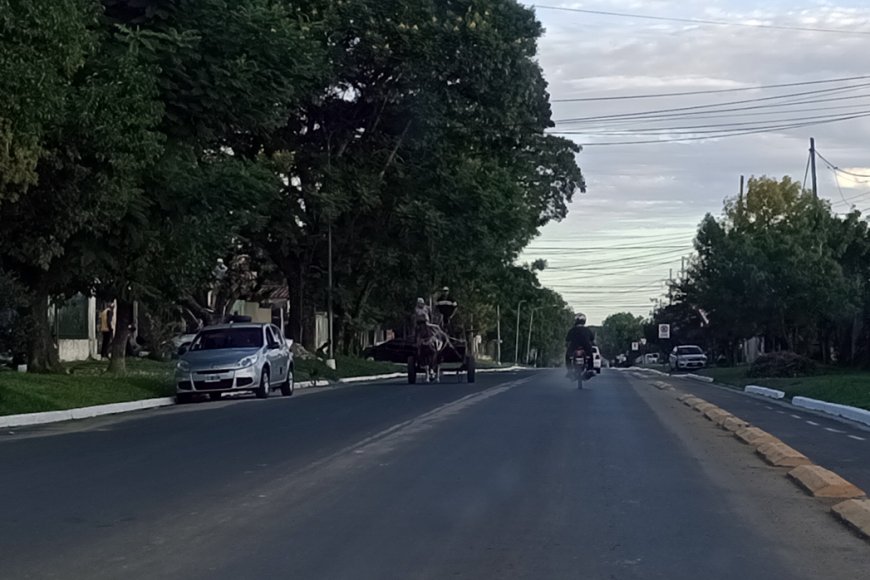 Carro tirado por un caballo, este miércoles.