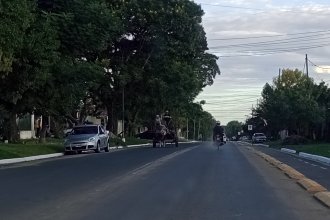 Proponen la &ldquo;erradicación definitiva&rdquo; de la tracción a sangre en Concordia. Sastre habló de controles, multas y adopciones