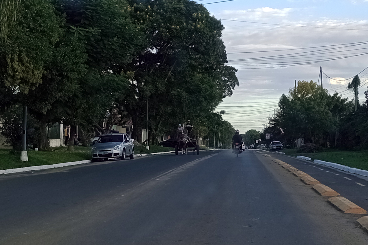 Carro tirado por un caballo, este miércoles.