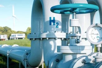 Causa por el proyecto HIF: designaron perito biólogo y se tramita el pedido de información que la CARU deberá responder en diez días hábiles