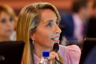 En el peronismo &ldquo;tendremos que trabajar el doble&rdquo; para elegir candidatos, afirmó Stratta