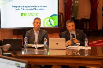 Blanzaco expuso en la Legislatura sobre salud mental: preocupante cantidad de suicidios e intentos