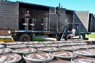 Polémica en el Mercosur: se agotó en 4 días el cupo para exportar miel con arancel cero a Unión Europea
