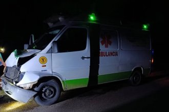 Ambulancia que realizaba una urgencia médica chocó contra animal suelto en ruta provincial