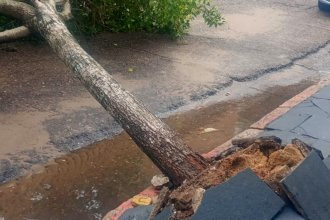 26 familias resultaron afectadas por el temporal y debieron ser asistidas por la Municipalidad