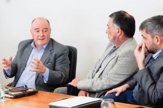 Salud pública, discapacidad y juego online: senadores debatieron y escucharon aportes sobre proyectos de ley