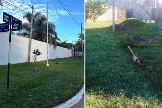 Denuncian &ldquo;vandalismo contra el arbolado urbano y cartelería pública&rdquo; en un tramo de calle Chabrillón