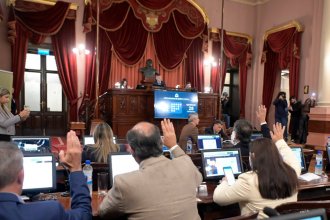 Reglamentación del juicio político: retoman discusión para suplir 18 años de &ldquo;vacancia legislativa&rdquo;