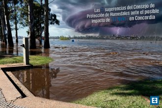 Cómo hacerle frente a &ldquo;El Niño&rdquo; en Concordia, según el Consejo de Protección de Humedales