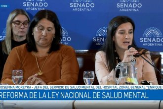 Una colonense expuso en el debate por la Ley de Salud Mental. Cuestionó &ldquo;la necesidad de un psiquiatra para garantizar las internaciones&rdquo;