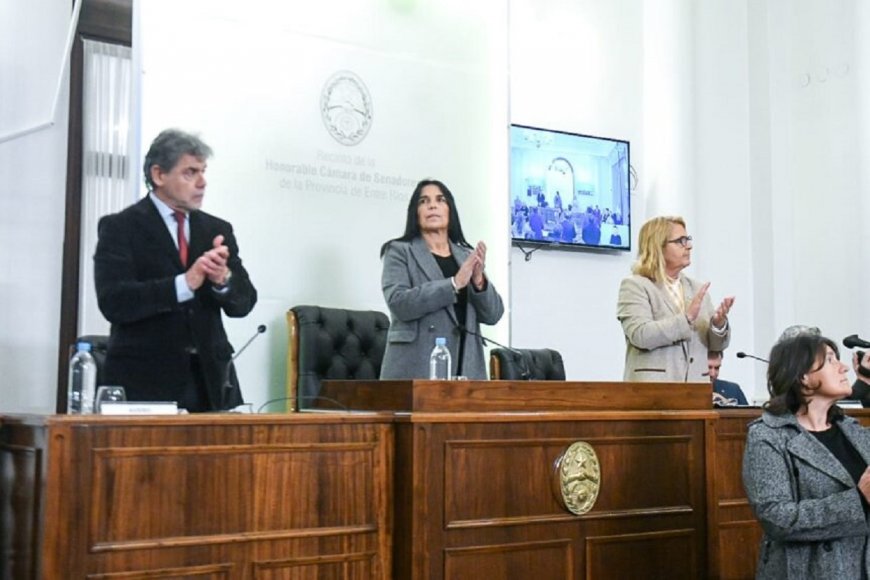 La vicegobernadora presidió la sesión del Senado.