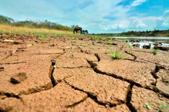¡Viene un <i>El Niño</i> poderoso! Investigadores dicen que el fenómeno podría añadir presión a un sistema mundial precario