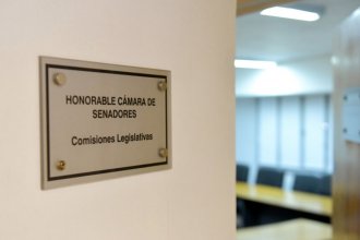 ¿De qué manera comenzará a tratarse la reforma previsional en el Senado?