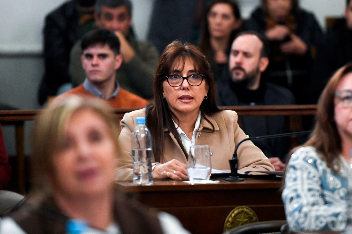 Por incumplimiento, piden la expulsión del PJ de la senadora Gladys Domínguez - Noticias - Elentrerios.com