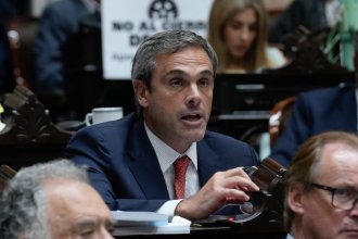 Michel presentó un proyecto para impedir que familiares encubran femicidios: &ldquo;Penaliza el encubrimiento activo&rdquo;