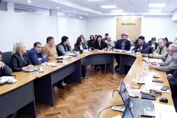 Reforma previsional. Con la presencia de Bagnat y gremios docentes, empiezan las audiencias en el Senado