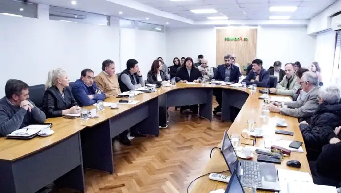 Reforma previsional. Con la presencia de Bagnat y gremios docentes, empiezan las audiencias en el Senado - Noticias - Elentrerios.com