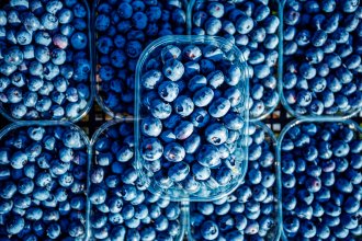 Proyectan una cosecha mejor del arándano argentino, favorecido por la popularidad creciente de ser un &ldquo;superalimento&rdquo;