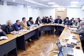 Reforma previsional. Con la presencia de Bagnat y gremios docentes, empiezan las audiencias en el Senado