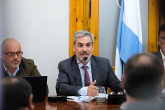 &ldquo;Medidas graduales y planificadas&rdquo;: Boleas y Bagnat expusieron en el Senado sobre la reforma previsional
