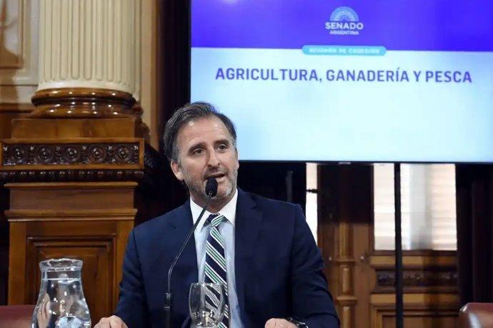Al igual que Adorni, Benegas Lynch ingresó al régimen simplificado de la Ley de Inocencia Fiscal