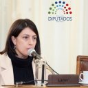 Laner defendió la reforma previsional y aseguró que es necesario &ldquo;presentar los números claros&rdquo;