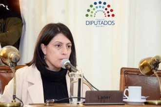 Laner defendió la reforma previsional y aseguró que es necesario &ldquo;presentar los números claros&rdquo;
