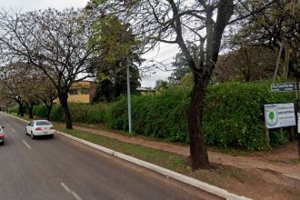 La avenida Eva Perón, con cortes por trabajos de poda
