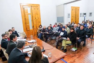 Entidades profesionales expusieron en el Senado y realizaron objeciones contra el proyecto de reforma previsional