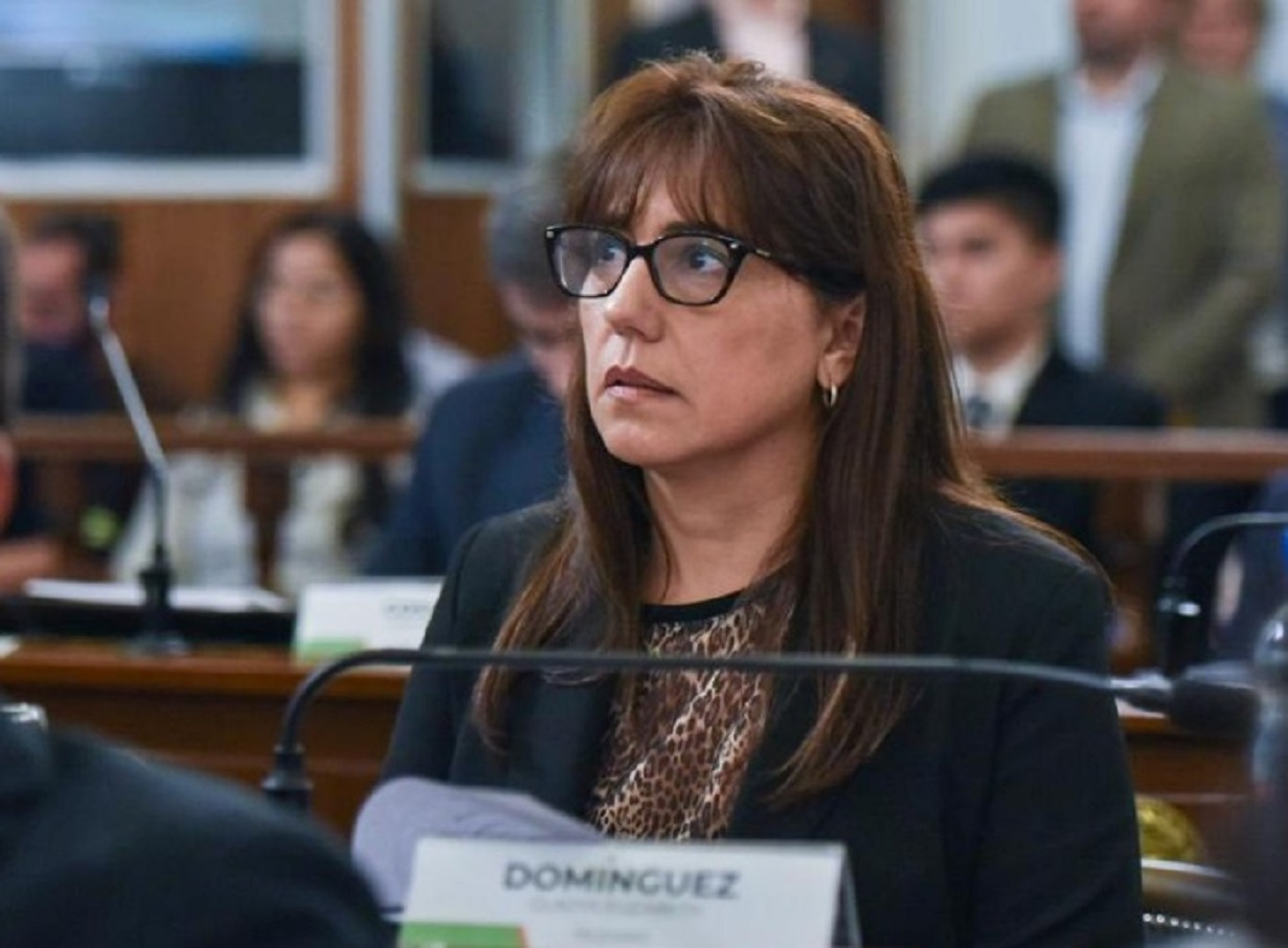 La senadora Domínguez brindó declaraciones sobre la reforma previsional y las posibles sanciones del PJ - Noticias - Elentrerios.com