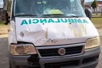 &ldquo;Los animales no tienen la culpa&hellip; Los dueños sí&rdquo;. Ambulancia chocó un caballo suelto y el intendente prometió mano dura