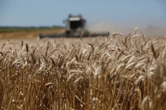 Estiman que no habrá cosecha récord por <i>El Niño</i>, pero que el campo aportará US$ 37 mil millones al año electoral