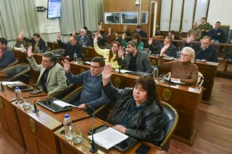 Antes de votar la reforma previsional, senadores reclaman un informe técnico elaborado por el Consejo Profesional de Ciencias Económicas