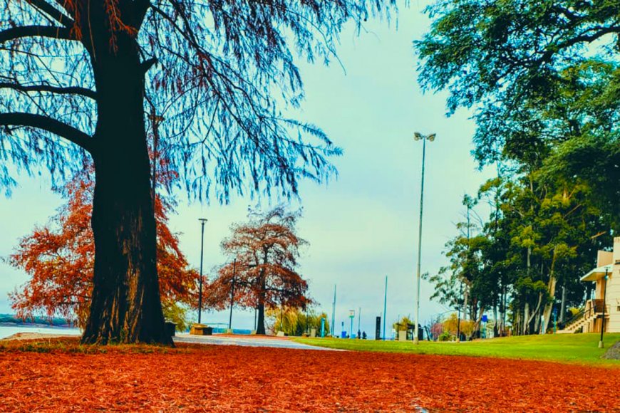 Invierno en costanera de Concordia (M. González).