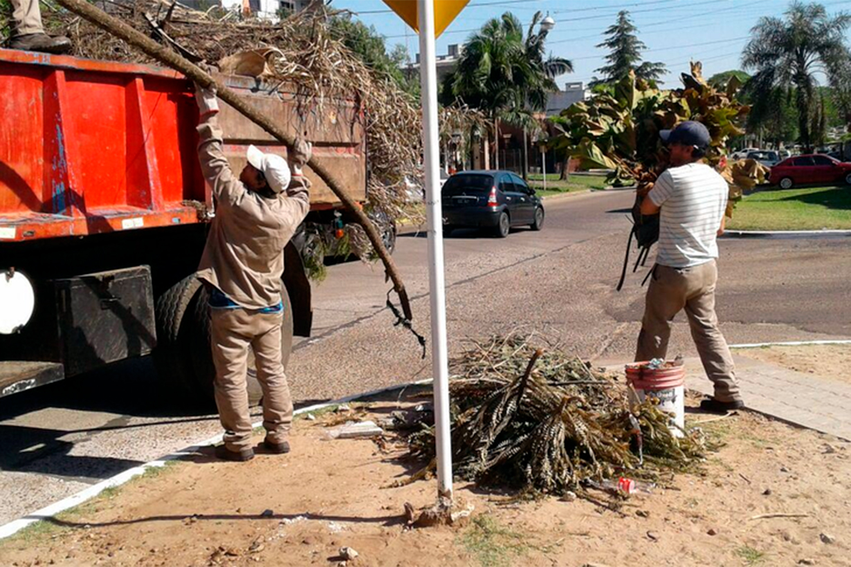 Por unanimidad, concejales acordaron reducir el costo del retiro de ramas, escombros y residuos voluminosos - Noticias - Elentrerios.com