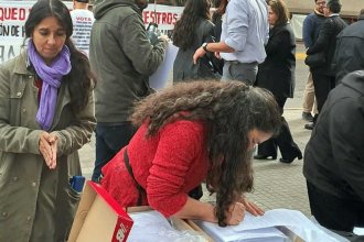 &ldquo;Se está resolviendo el acuerdo definitivo con HIF&rdquo;, dicen ambientalistas. Acusan a la Corte Electoral de retener las firmas a favor del plebiscito