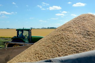 Crisis de precios, baja rentabilidad de exportaciones y la suba del gasoil amenazan a productores pequeños de arroz