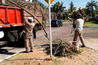 Por unanimidad, concejales acordaron reducir el costo del retiro de ramas, escombros y residuos voluminosos